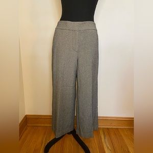 4P, Ann Taylor Factory pant